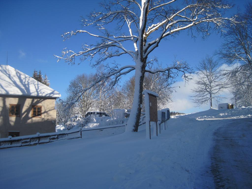 Ubytovani Elias Černá v Pošumaví Exterior foto